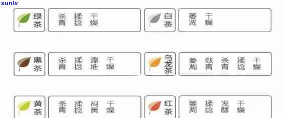 成块的茶叶叫什么名字，探究茶叶的世界：了解成块茶叶的名称与特点