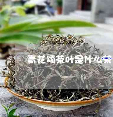 青花颂茶叶是什么茶-青花颂茶叶是什么茶叶