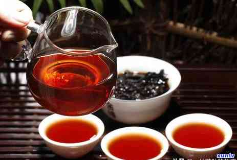 茶人茶叶是什么茶类，探秘茶叶世界：了解什么是茶人茶叶？