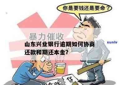 兴业逾期怎么协商？详解本金、期、分期还款及全攻略