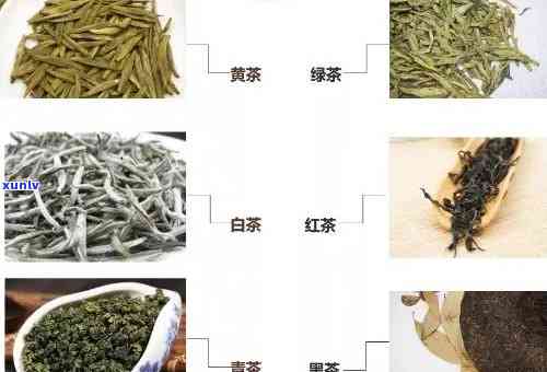 茶叶是属于什么茶叶，揭秘茶叶：它属于哪种类型的茶叶？