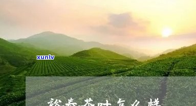 裕泰茶叶简介，探索中国茶文化：裕泰茶叶简介