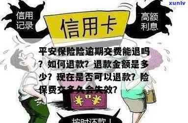 平安保险逾期交保险金怎么办，怎样解决平安保险的逾期保险金疑问？