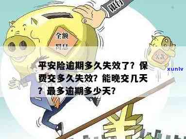 平安保险逾期交保险金可以吗？结果及解决  