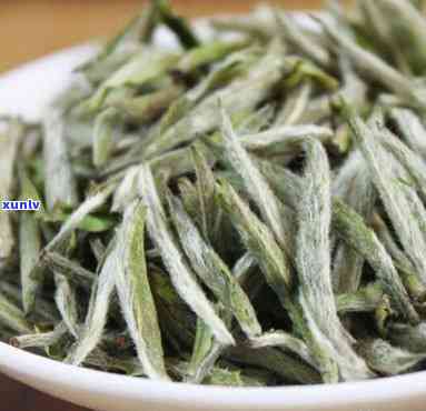 茶叶银针属于什么茶种类，探秘茶叶银针：属于哪种茶种类？