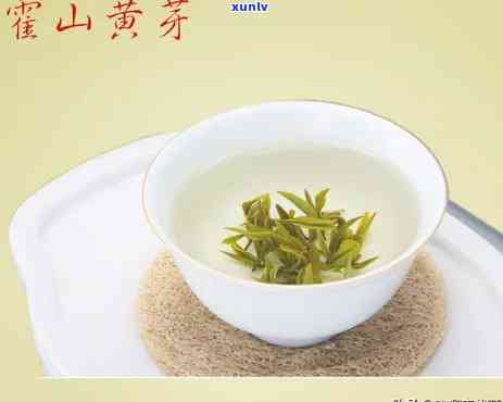 茶叶黄芽是什么意思，探秘茶叶世界：什么是黄芽？