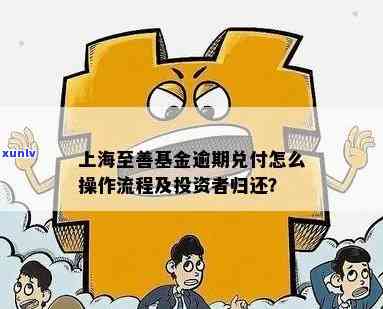 上海至善基金公司逾期会怎么样？最新动态、资产情况及投资者怎样拿回资金