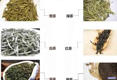 朱兰茶叶属于什么茶种类，揭秘朱兰茶叶的茶种属性