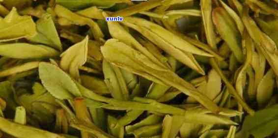 玉壶春茶叶是什么茶类，探秘玉壶春茶叶：属于何种茶类？