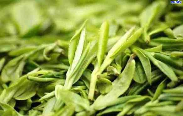 玉壶春茶叶是什么茶类，探秘玉壶春茶叶：属于何种茶类？