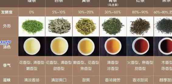 大种茶叶属于什么茶种？详解大种、小种茶的区别及特点