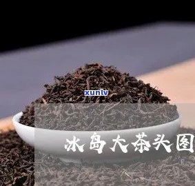 冰岛大茶头的做法窍门，独家揭秘：冰岛大茶头的 *** 技巧与窍门