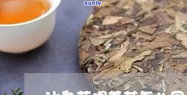 冰岛茶入口为什么苦苦的，解密冰岛茶的苦涩口感：原因解析与品鉴技巧