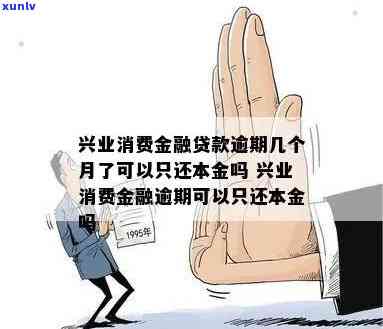 兴业消费金融贷款逾期了会怎么样？逾期多久会被起诉？能只还本金吗？逾期一天会上吗？逾期三个月会有哪些结果？能否协商分期还款？