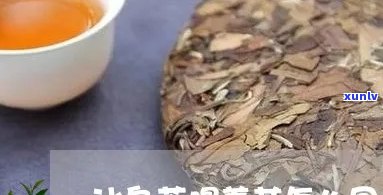 冰岛茶入口为什么苦-冰岛茶入口为什么苦苦的