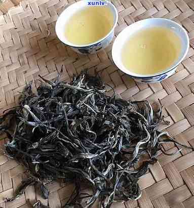 冰岛茶用什么茶具泡？选择合适的壶与器皿提升品茗体验