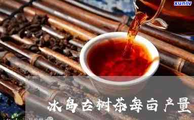 冰岛古树茶产量，揭示冰岛古树茶的产量之谜