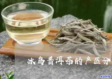 冰岛哪里的茶喝最出名？探究冰岛茶的产区与山头