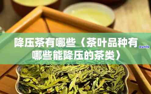 什么茶叶降压效果好？探讨降压功效较好的茶叶品种