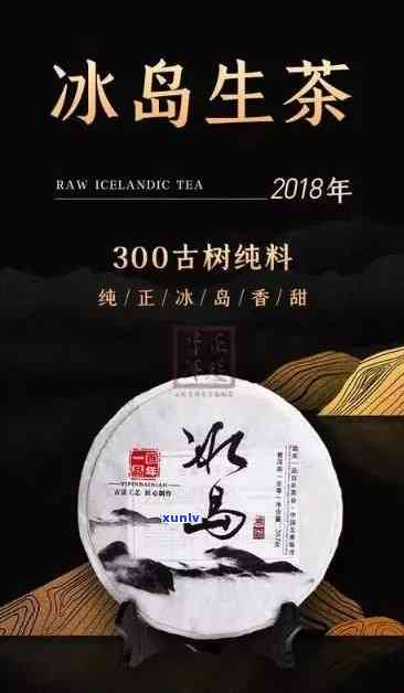 冰岛茶厂国娟，探访冰岛茶厂：与国娟的对话