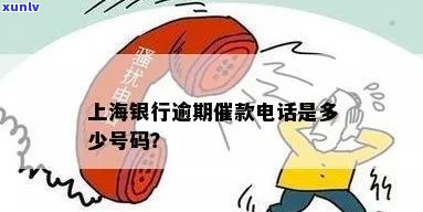 上海的  0216186：揭示多家网贷及银行的手