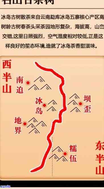 冰岛古树茶：哪个山头的味道？产区、地理位置及销售点全解析