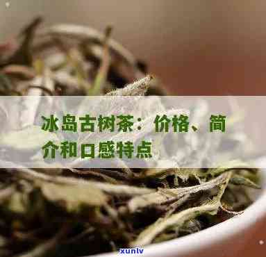 冰岛古树茶的功效与禁忌，探秘冰岛古树茶的神奇功效与饮用禁忌