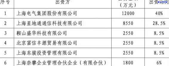 上海电气债务疑问，揭示上海电气的债务危机：深度分析与解决方案