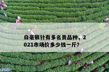 白毫银针茶叶多少钱一罐？2021年价格表及购买指南