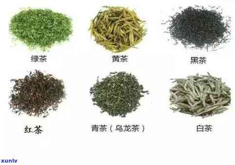 哪种茶叶需要洗？绿茶、乌龙茶等需注意，白茶、黄茶不需要