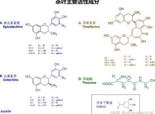 什么茶叶里含有EGCG、茶叶棍、茶叶棒、茶多酚、金花菌、兰花和嘌呤成分？