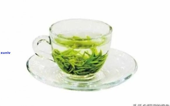 喝什么茶叶减肥快？选对茶饮，轻松瘦身！