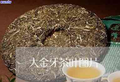 大金牙茶，品味大金牙茶：一种独特的茶叶体验