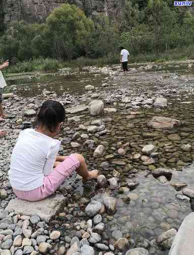 鹤壁淇河那点儿捡石头，探寻鹤壁淇河之美：那点儿捡石头的乐趣