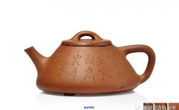 石瓢适合泡什么茶叶呢？绿茶、红茶还是乌龙茶？看这里！