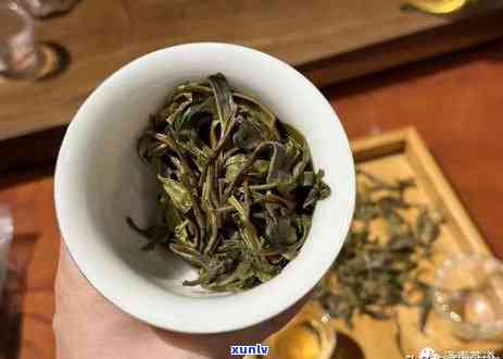 云南七子饼普洱茶冰岛甜生茶价格，【云南七子饼】冰岛甜生普洱茶 2023春茶价格 新茶上市！