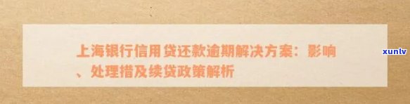 上海逾期还款政策最新规定：期、查询及贷款政策