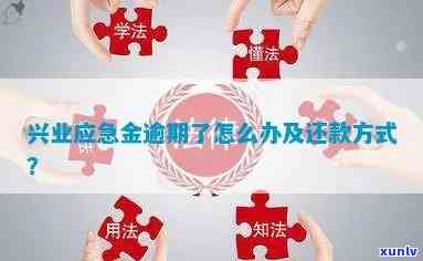 兴业应急金逾期怎么还-兴业应急金逾期上吗