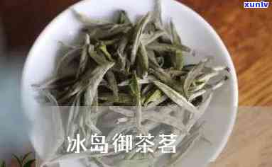 御茶冲末还是冰岛-御茶家未怎么样