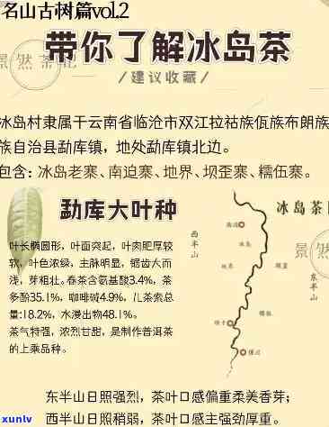 冰岛茶属于什么山，揭秘：冰岛茶属于哪座山脉？