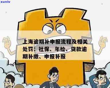 逾期申报处罚标准上海最新规定及政策全解析