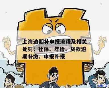 上海企业逾期申报年检操作流程及补申报  