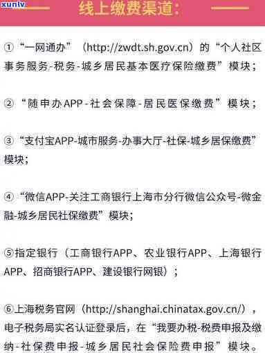 上海小孩医保卡续费全攻略：所需证件、操作流程、缴费方法一网打尽！