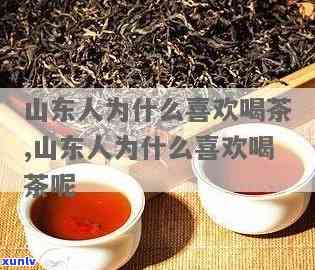 山东人爱喝什么茶叶？探究山东人的饮品偏好