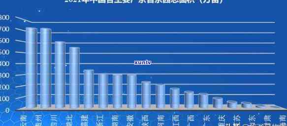 山东人爱喝什么茶叶？探究山东人的饮品偏好