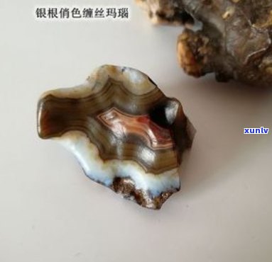 阿拉善银根玛瑙-阿拉善银根玛瑙特征