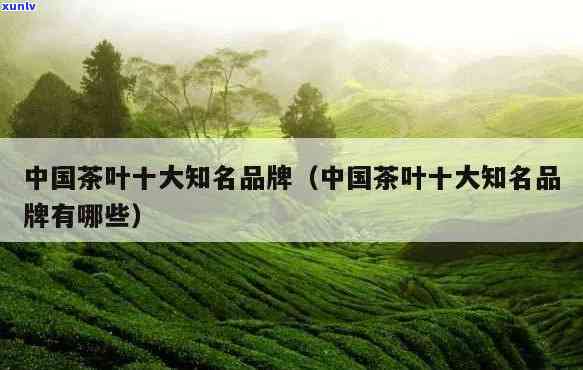 茶叶厂家排名前十名名单，揭秘茶叶市场：十大知名厂家排行榜