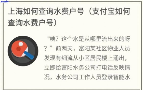 上海投诚水务几号出费，查询上海投诚水务缴费信息，请问您需要哪一天的费用？