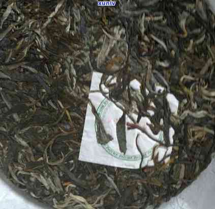 冰岛300年古树茶，珍稀发现：冰岛300年古树茶，口感醇厚，回味无穷！