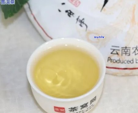 冰岛茶用什么壶泡好，如何选择最适合冲泡冰岛茶的茶具？